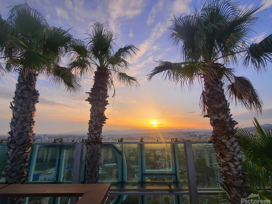 Palm Witnesses of the Falling Sun  Print