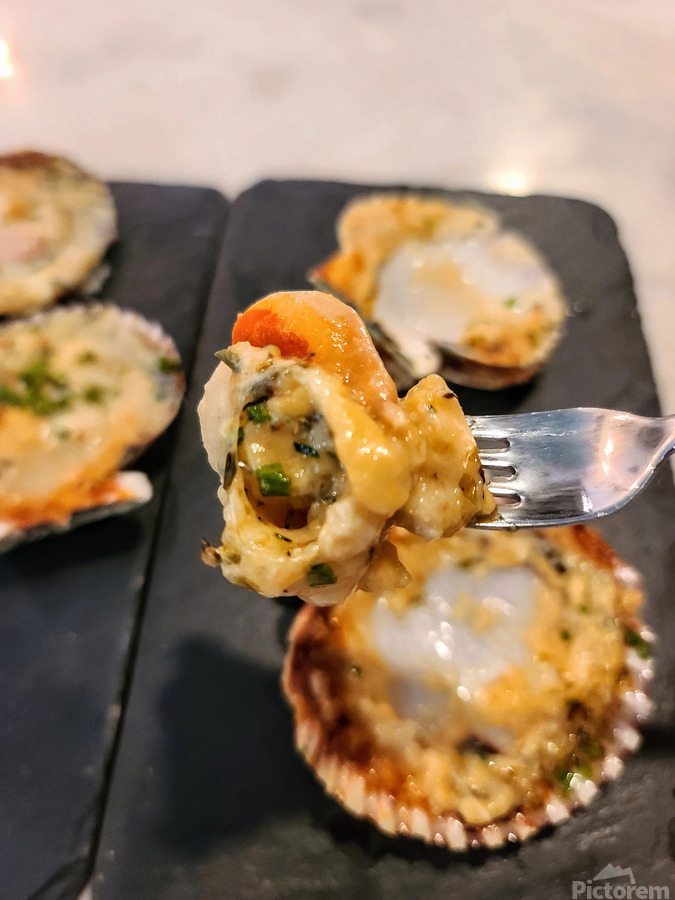 Shellbound Sonata  Print