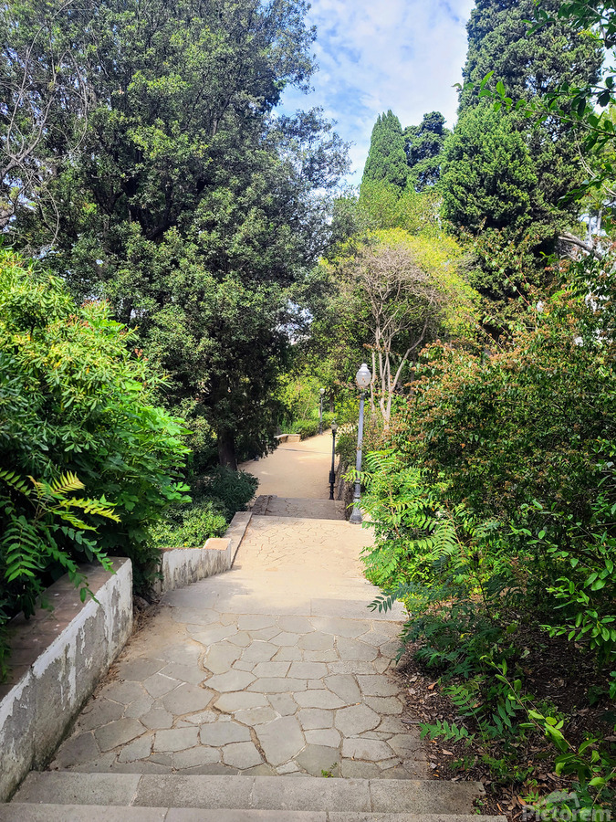 The Pause in the Path  Print