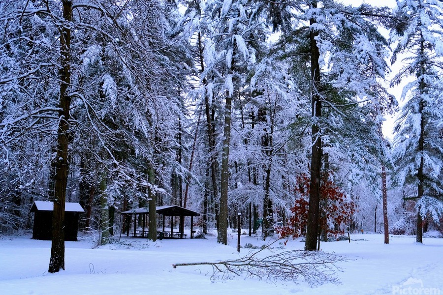 Winter Wonderland 2  Print