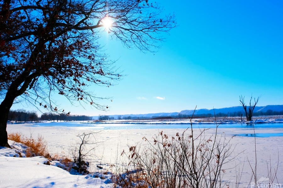 Winterscape 2B  Print