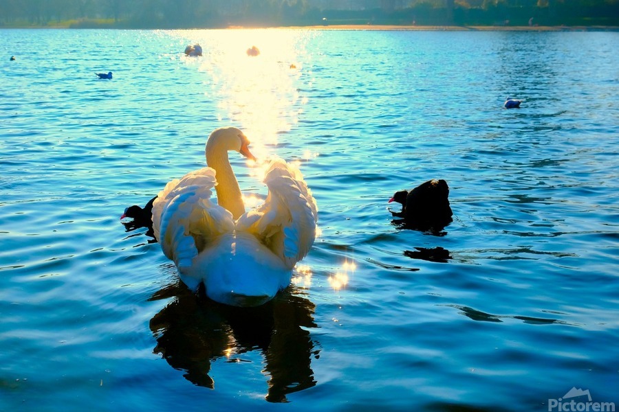 Luminous Voyage  Imprimer