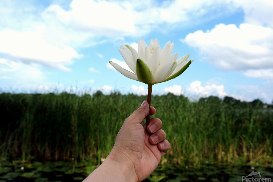 Gift to the Sky  Imprimer