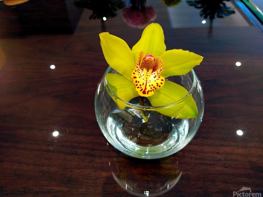 Glass Bloom 2B  Print