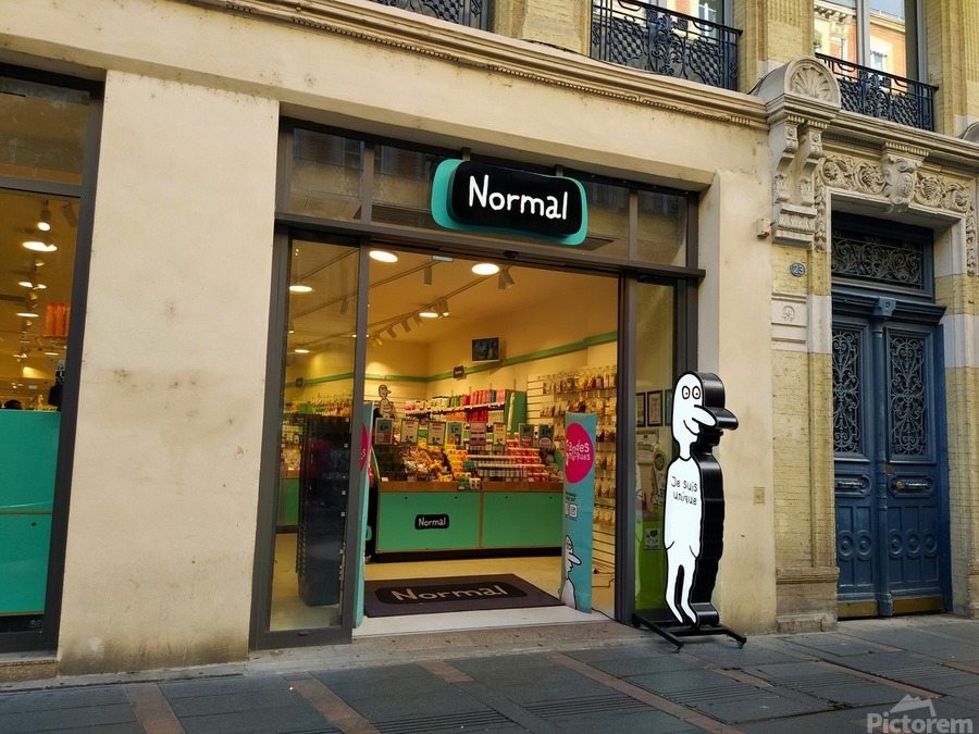 Shopping for Normalcy  Print