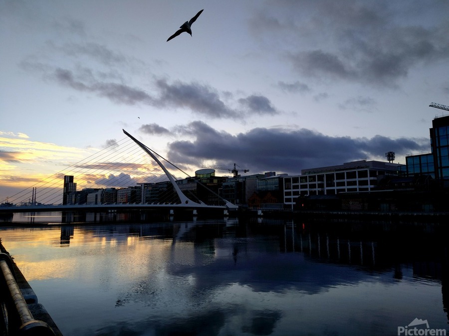 Soaring into the Sunrise  Print