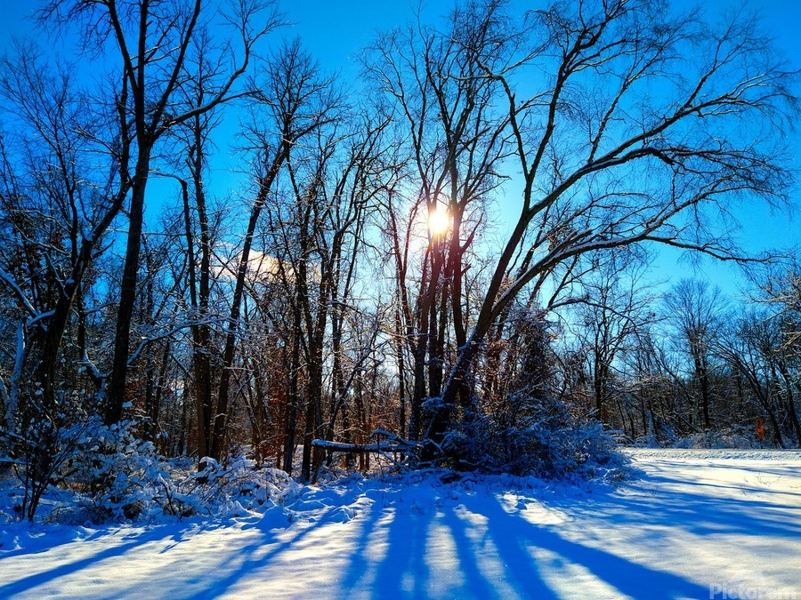 Winter Wonderland 2  Print