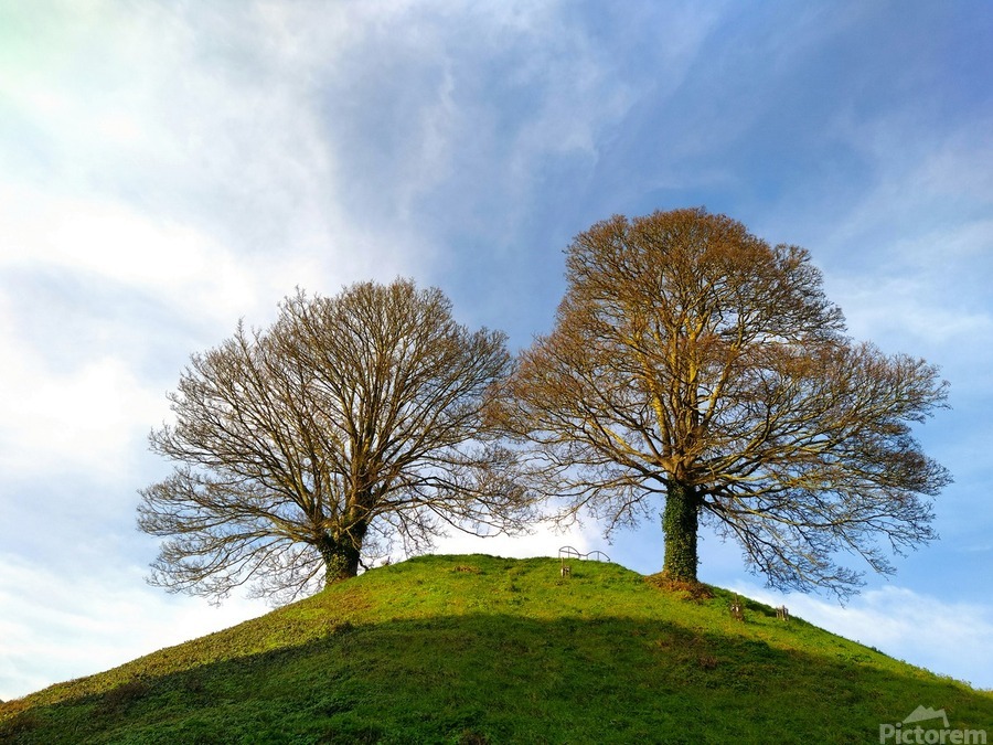 Standing Guard  Print