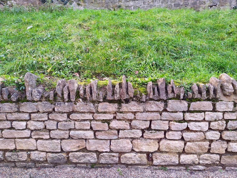 Barbed Stone Wall  Print