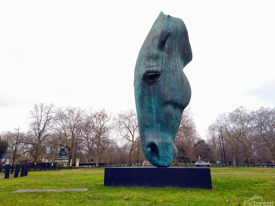 Horsehead Sculpture  Print