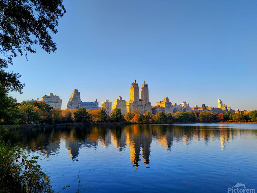 Urban Calm: Central Park View  Print