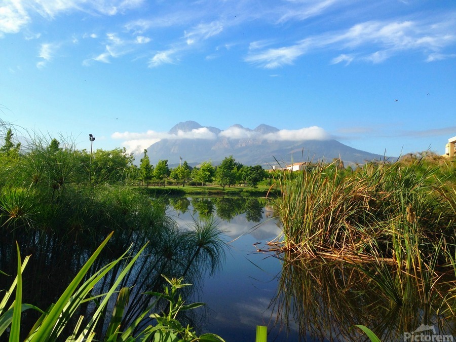 Out of Africa 2  Imprimer