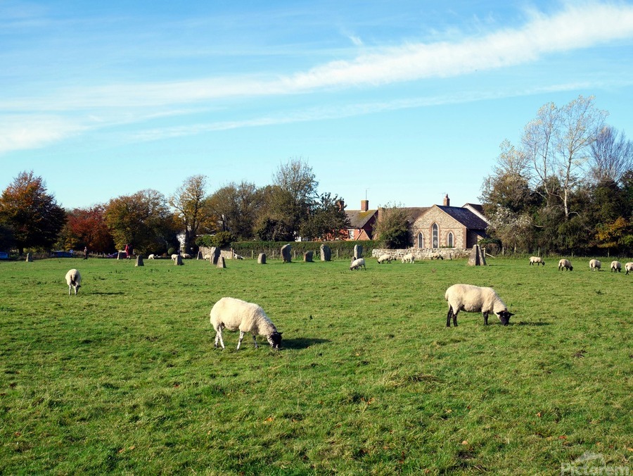 Grazing Fields of Avebury Henge and Stone Circles   Print