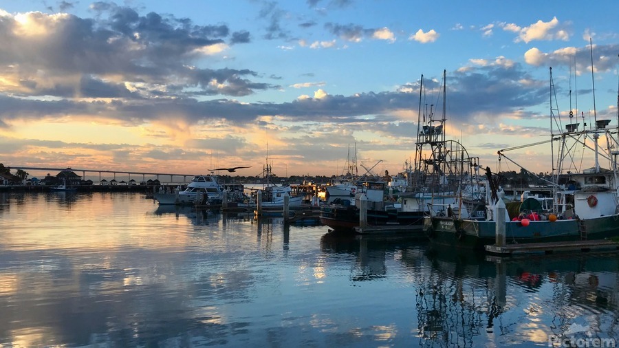 Seascape Escape C  Print