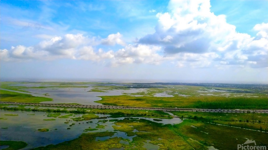 New Orleans from the Sky  Print