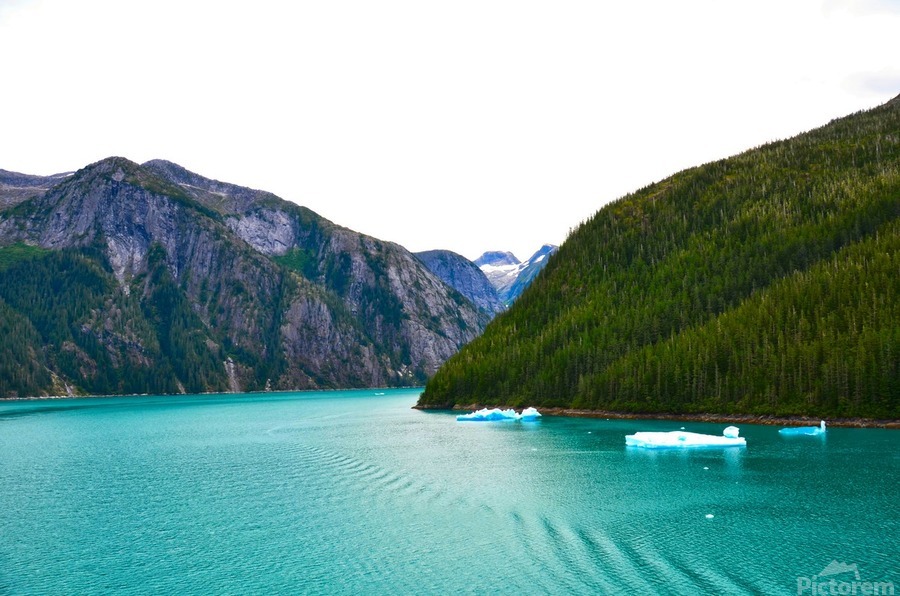 Majestic Mountains of Alaska 5  Print