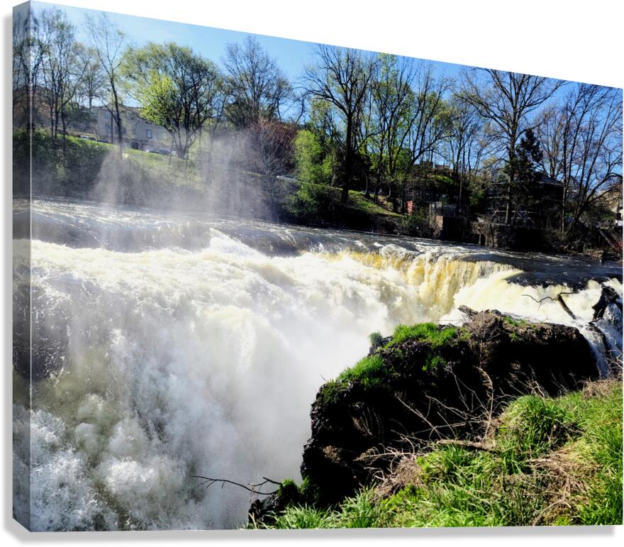 The Roar Beneath Blue Skies Canvas Print