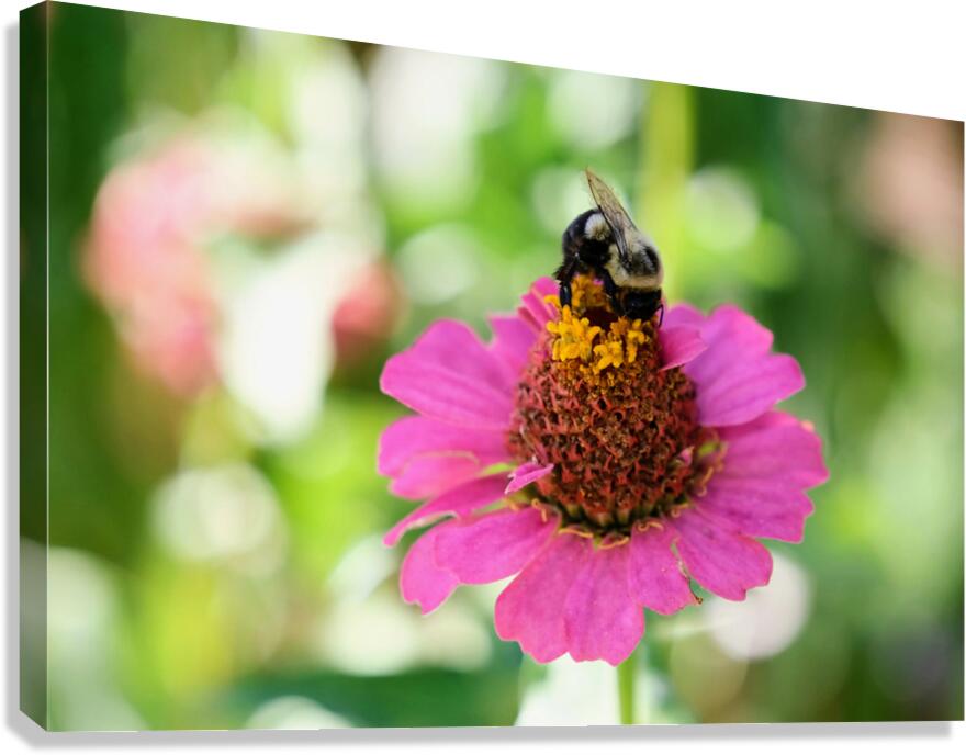 Petals and Purpose: An Ode to Quiet Industry Canvas Print