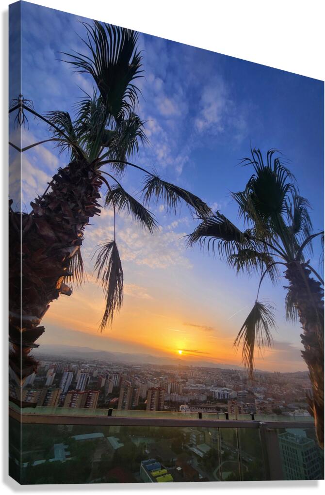 Golden Drift Between Palms Canvas Print