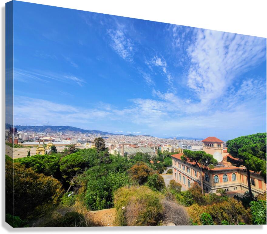 Skylines and Stories: Barcelona Hilltop View Canvas Print