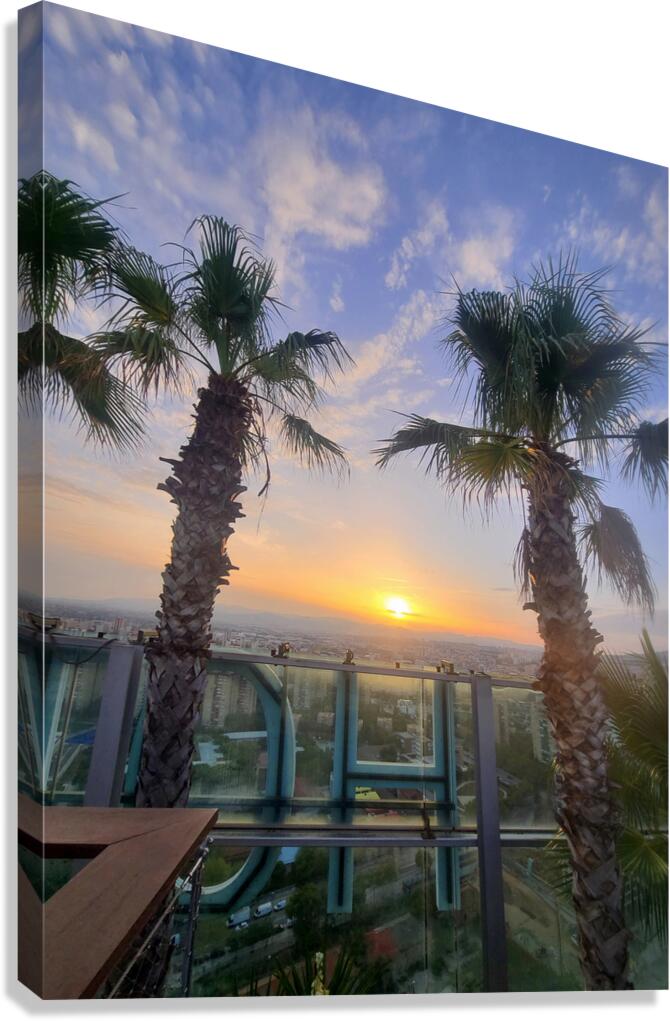 Tropic Stillness Above the Noise Canvas Print