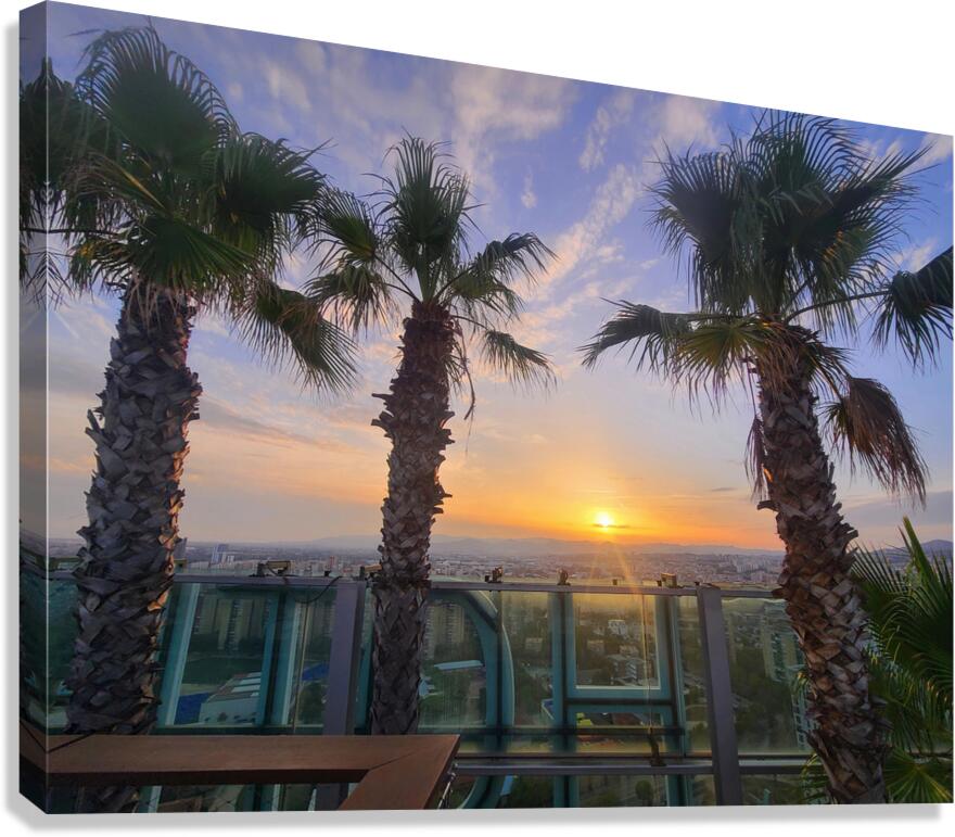 Palm Witnesses of the Falling Sun Canvas Print