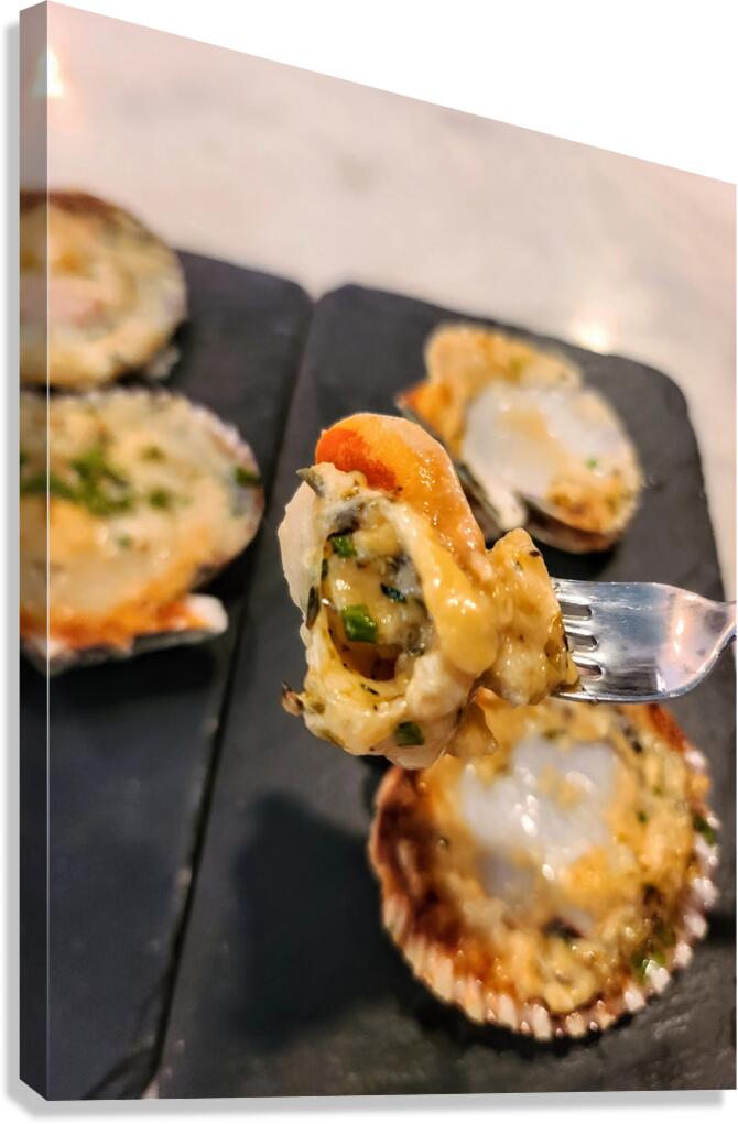 Shellbound Sonata Canvas Print