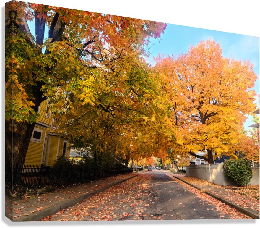 Fall Over the Road: Whispers of Fall Canvas Print