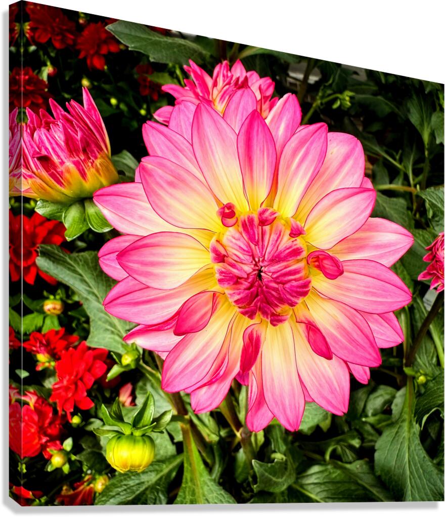 Petal Prism: Nature’s Geometry Canvas Print