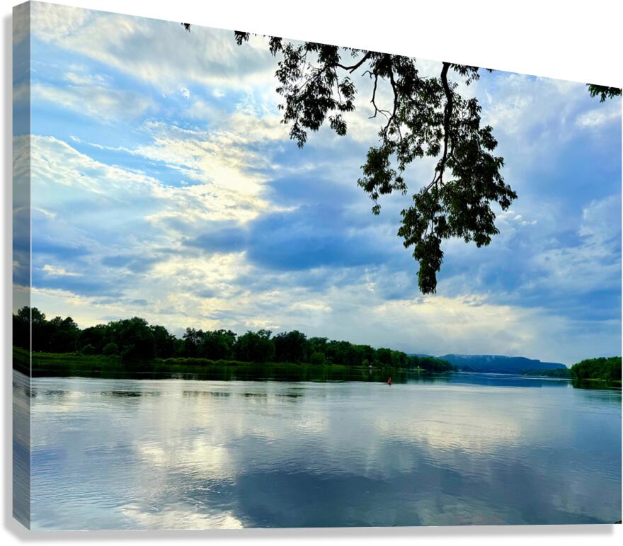 Veins of the Earth Voice of the Sky Canvas Print