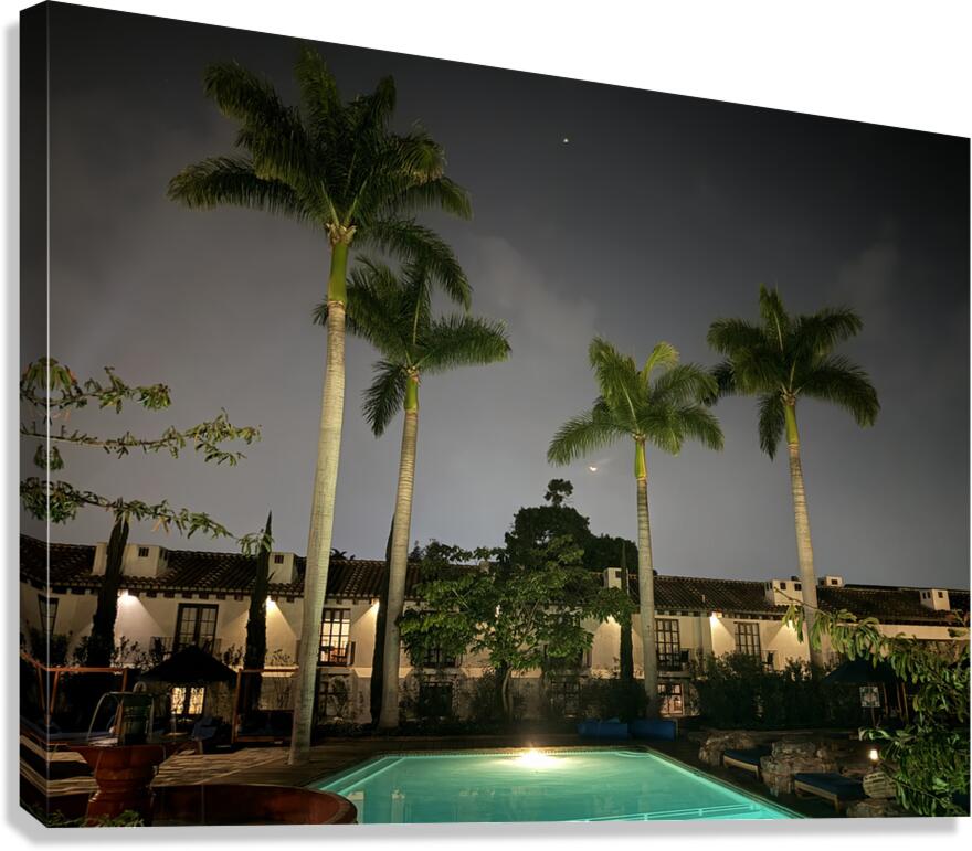 IMG 0438 Canvas Print