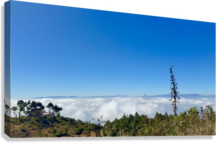 IMG 9119 Canvas Print