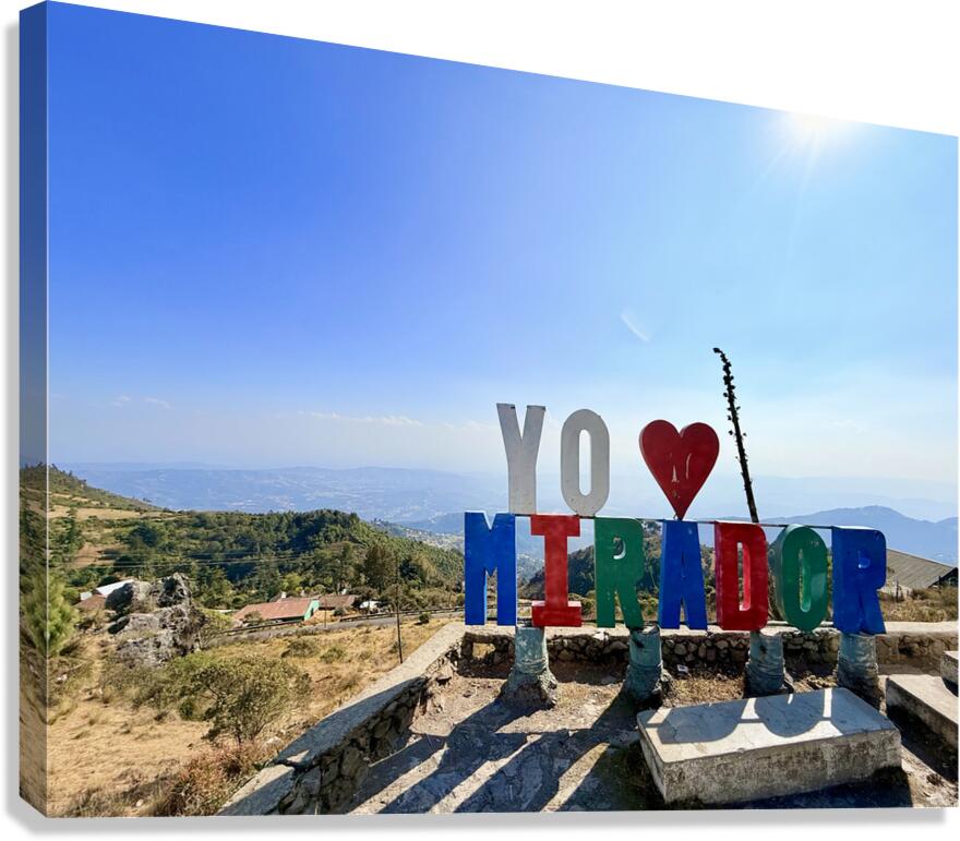 IMG 9703 Canvas Print