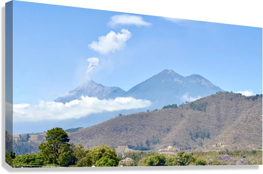 IMG 0088 Canvas Print