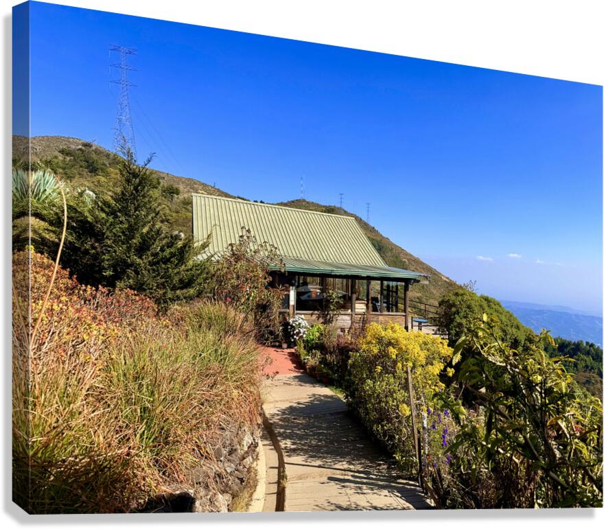 IMG 9695 Canvas Print