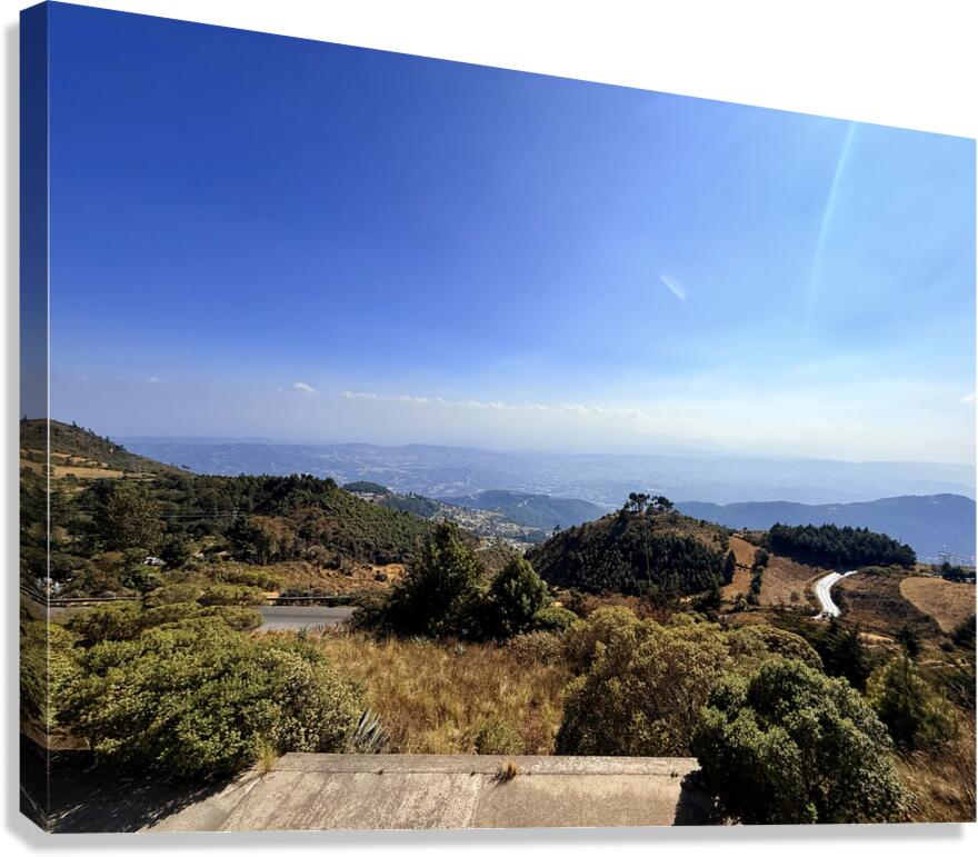 IMG 9684 Canvas Print