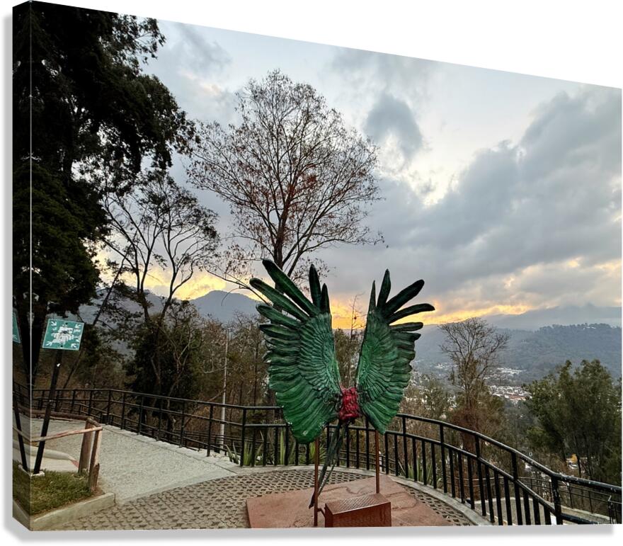 IMG 0467 Canvas Print