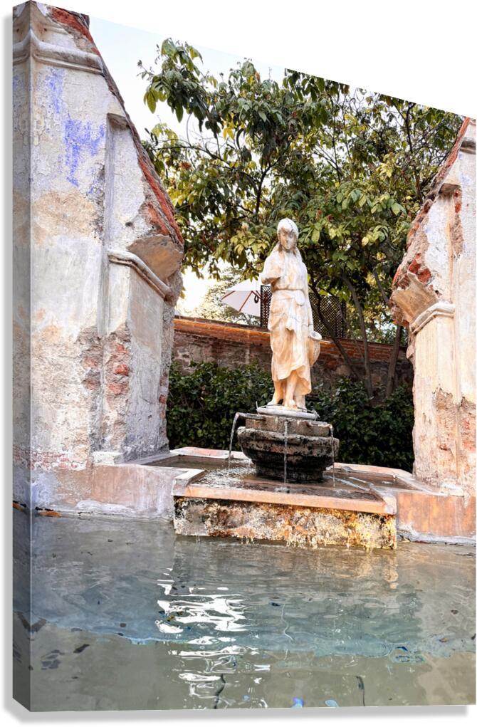 IMG 9961 Canvas Print