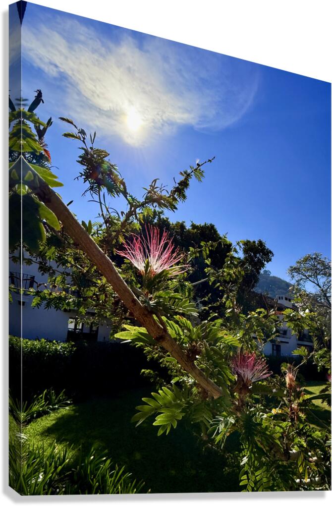 IMG 0024 Canvas Print