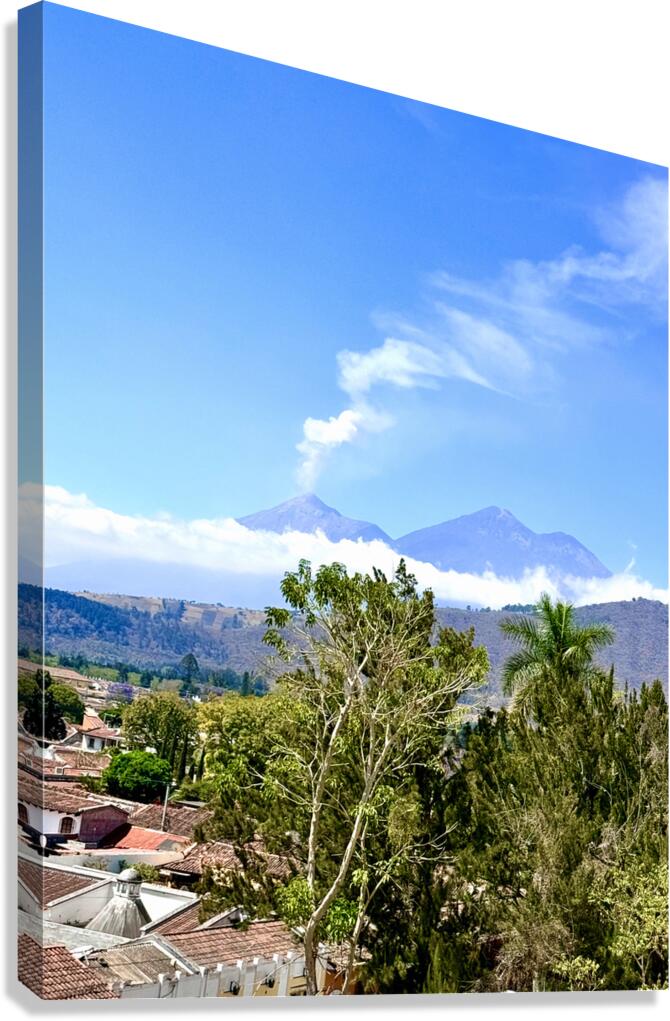 IMG 0148 Canvas Print