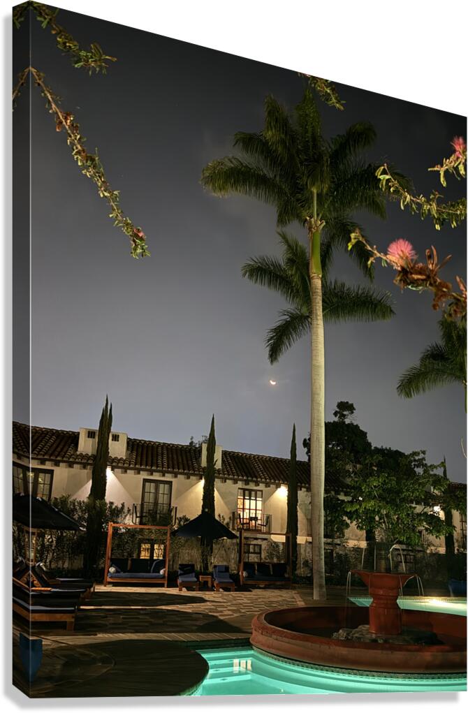 IMG 0437 Canvas Print