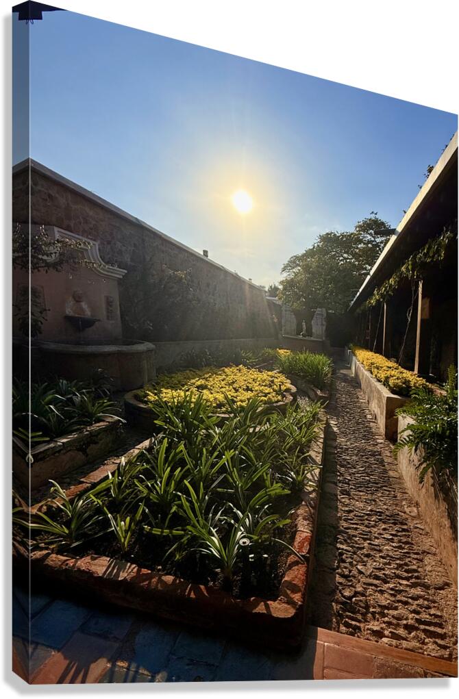 IMG 9939 Canvas Print