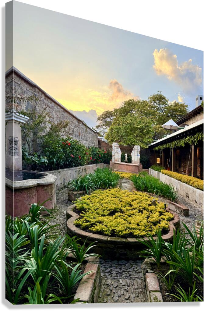 IMG 9950 Canvas Print