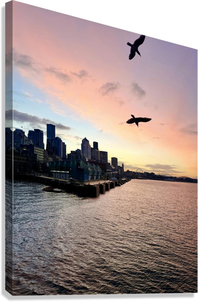 IMG 7958 Canvas Print