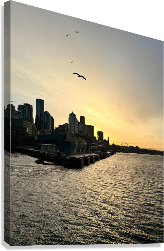 IMG 7995 Canvas Print