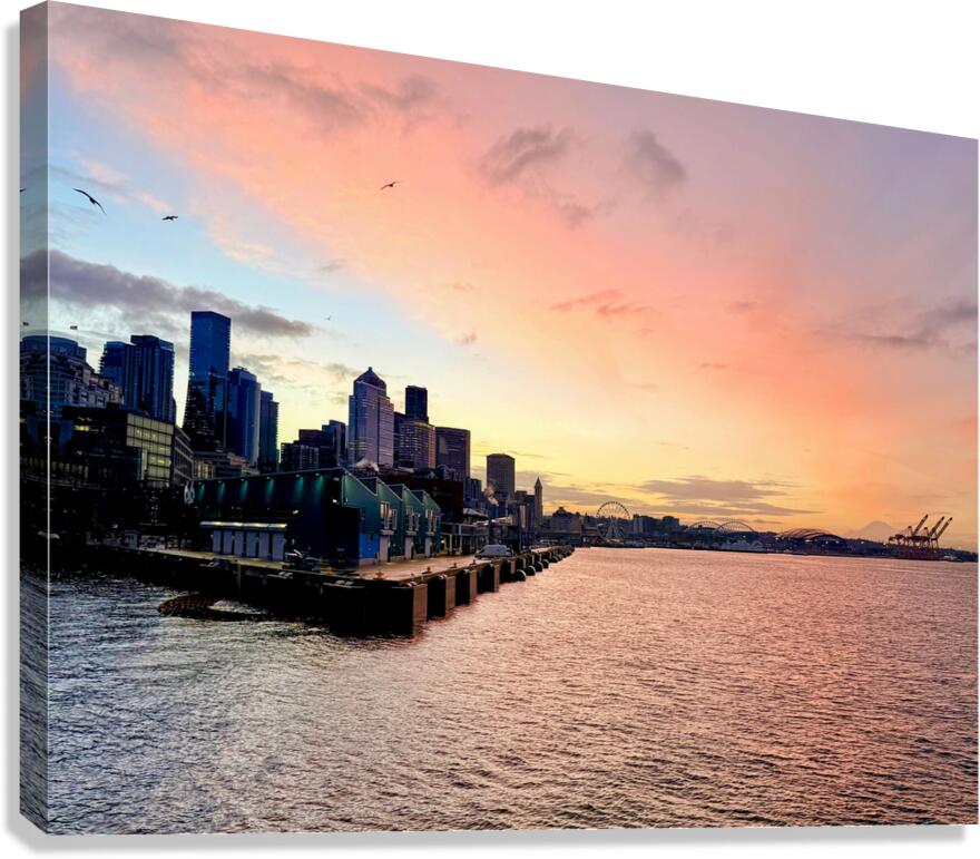 Orange Hour-2 Canvas Print