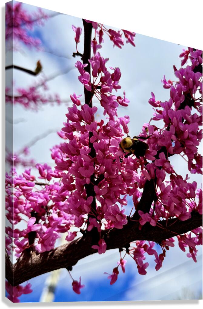 Branch & Bee Canvas Print