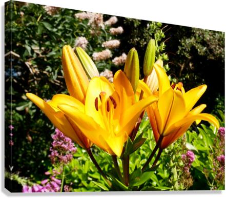 Bursting Beauty Canvas Print