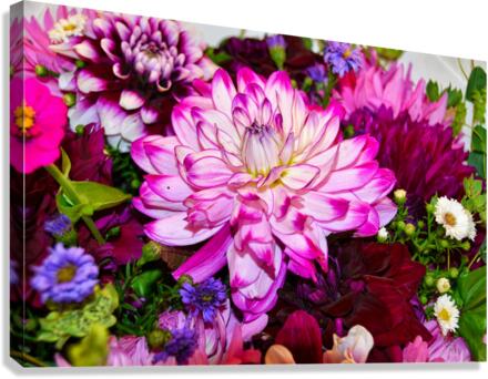 Flower Bloom 3 Canvas Print