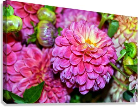Flower Bloom 1 Canvas Print
